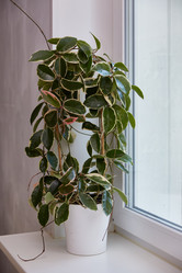 Similar image 22046169