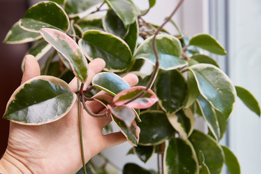 Similar image 22046170