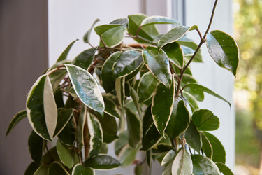 Similar image 22046172