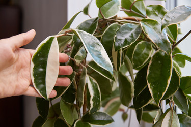 Similar image 22046173