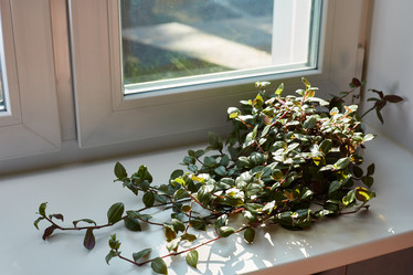 Similar image 22045786