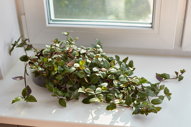 Similar image 22045787