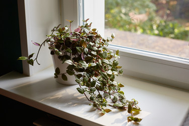 Similar image 22045789