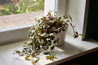 Similar image 22045790