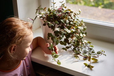 Similar image 22045791