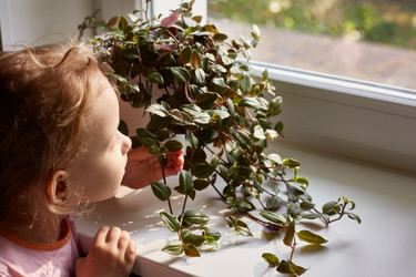 Similar image 22045792