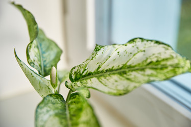 Similar image 22045798