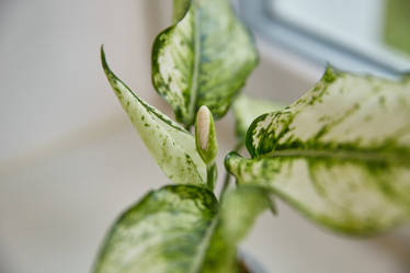 Similar image 22045800