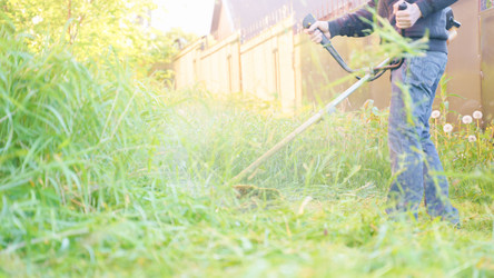 Similar image 22045804