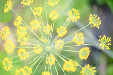 Similar image 22045805