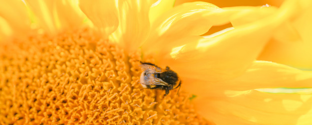 Similar image 22045807