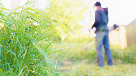 Similar image 22045808