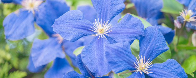 Similar image 22045809