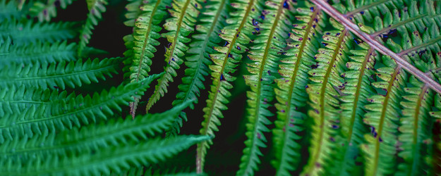 Similar image 22045810