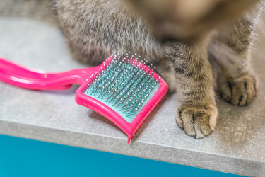 Similar image 22045812