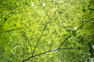 Similar image 22045813