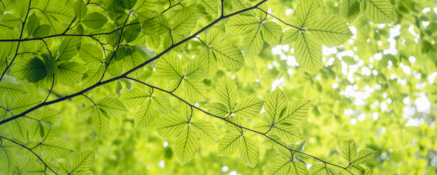 Similar image 22045814