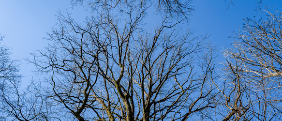 Similar image 22045816