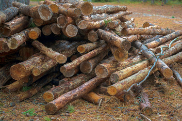 Similar image 22045819