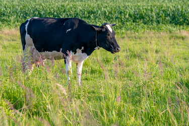 Similar image 22045821