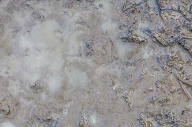 Similar image 22045822