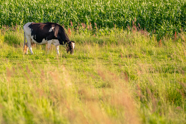 Similar image 22045823