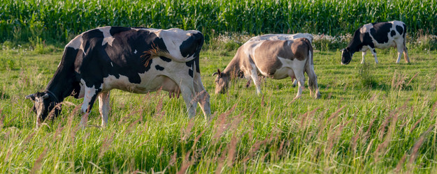 Similar image 22045824