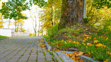 Similar image 22045835