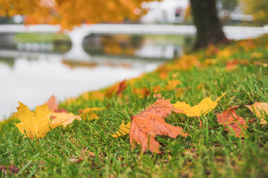 Similar image 22045853