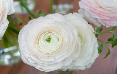 Similar image 22050927