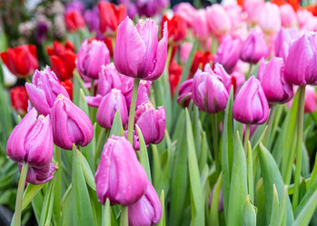 Similar image 22050928