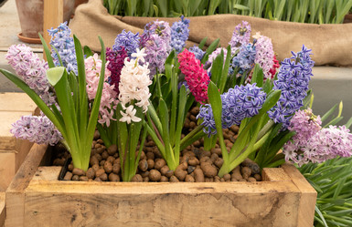 Similar image 22050929