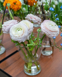 Similar image 22050930