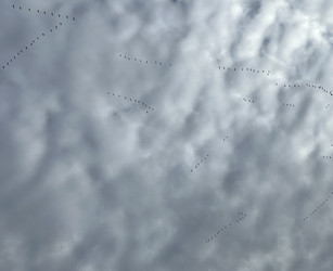 Similar image 22046493