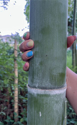 Similar image 22046991