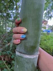 Similar image 22046992