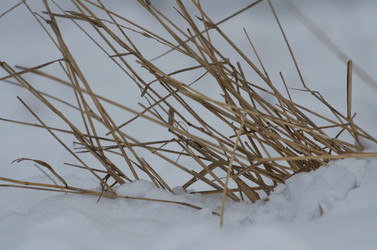 Similar image 22050011