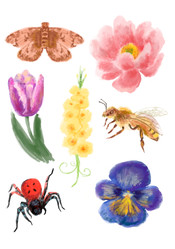 Similar image 22052800