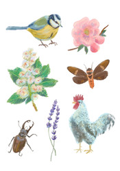 Similar image 22052802