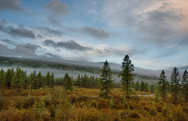 Similar image 22046572