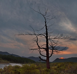 Similar image 22048645