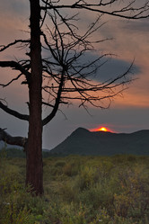 Similar image 22048646