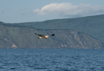 Similar image 22050012