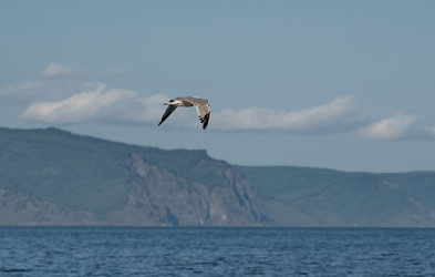 Similar image 22050013