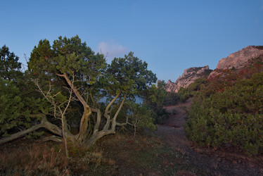 Similar image 22055539