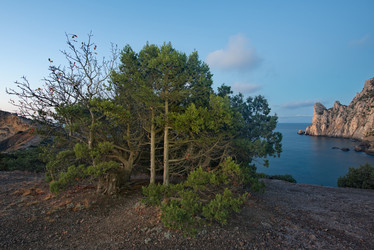 Similar image 22055540