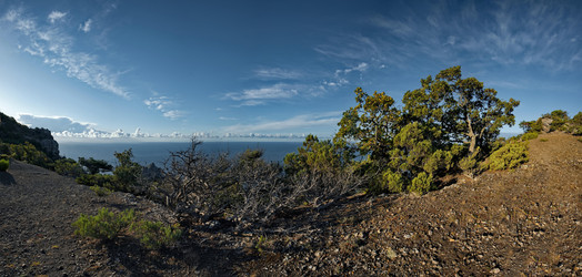 Similar image 22055542