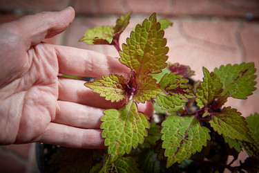 Similar image 22045887