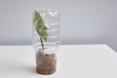 Similar image 22045890