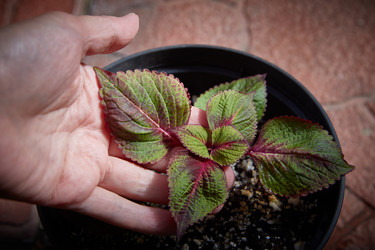 Similar image 22045891